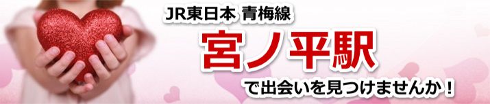 宮ノ平駅