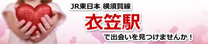 衣笠駅