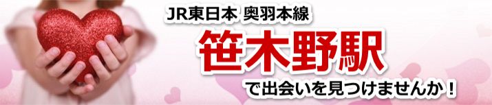 笹木野駅