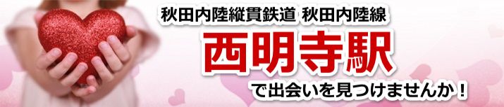 西明寺駅