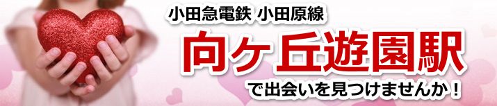 向ヶ丘遊園駅
