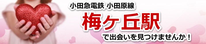 梅ヶ丘駅