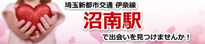 沼南駅