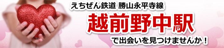 越前野中駅