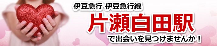 片瀬白田駅