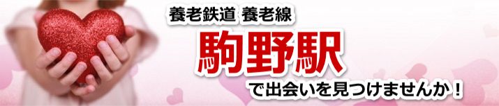 駒野駅