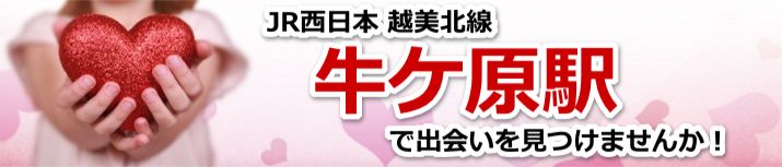 牛ケ原駅