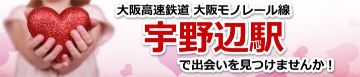 宇野辺駅