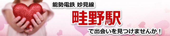 畦野駅