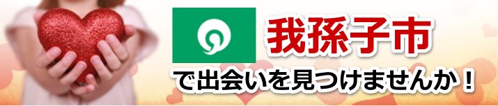 我孫子市