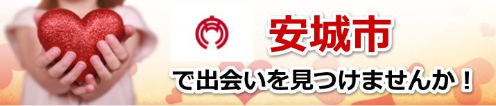 安城市