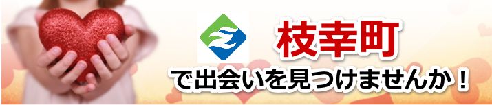 枝幸町
