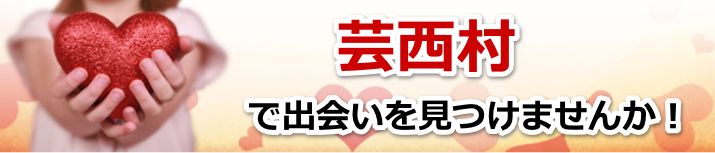 芸西村