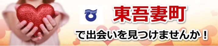 東吾妻町