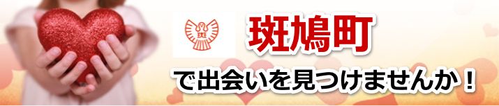 斑鳩町