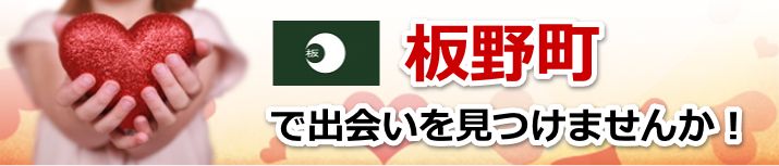 板野町