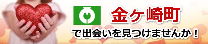 金ケ崎町