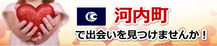 河内町