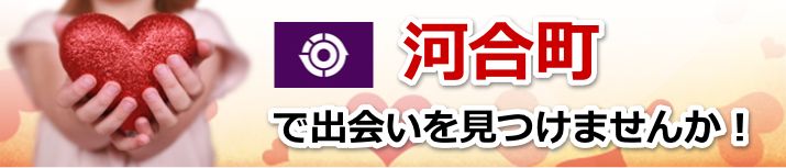 河合町