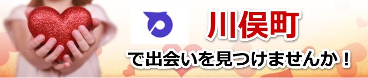 川俣町