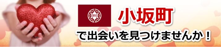 小坂町