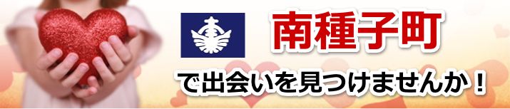 南種子町