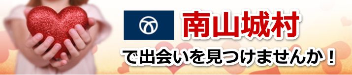 南山城村