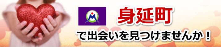 身延町