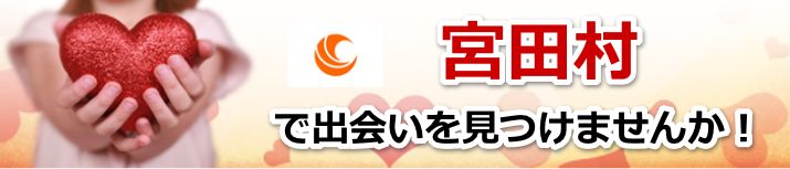 宮田村