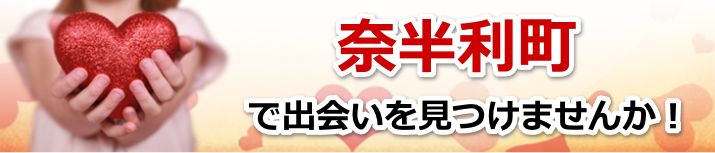 奈半利町