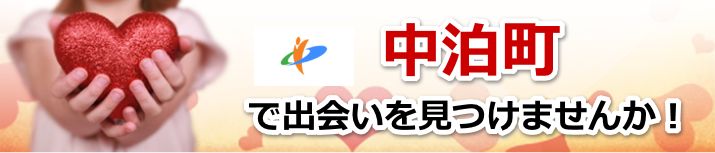 中泊町