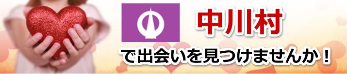 中川村