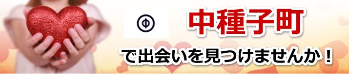 中種子町