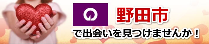 野田市