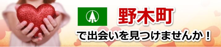 野木町