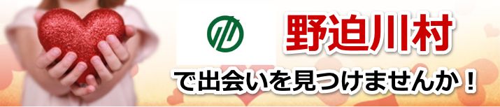 野迫川村
