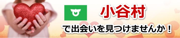 小谷村