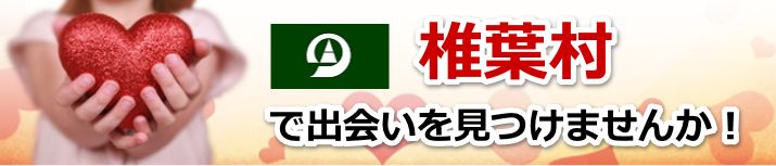 椎葉村