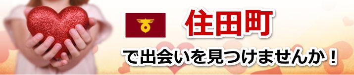 住田町