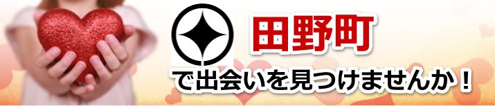 田野町