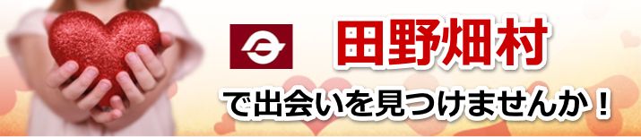 田野畑村
