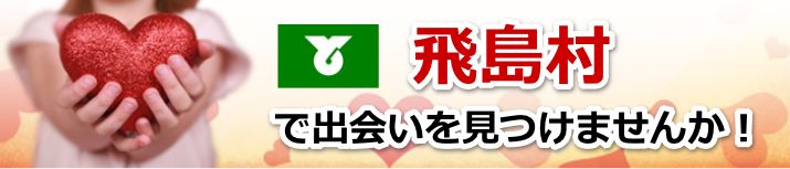 飛島村