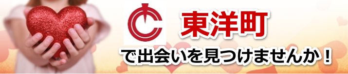東洋町