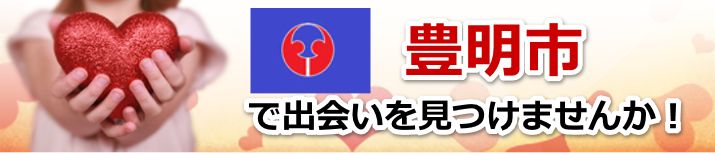 豊明市