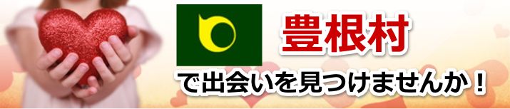 豊根村