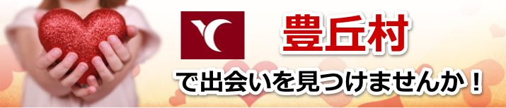 豊丘村