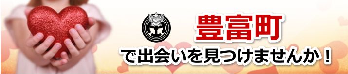 豊富町
