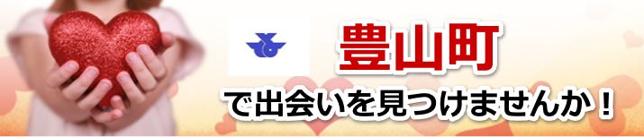 豊山町