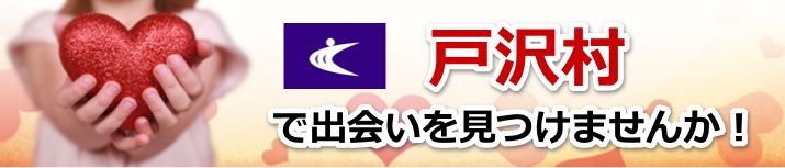戸沢村