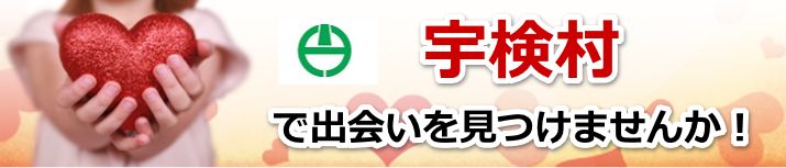 宇検村